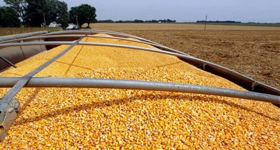 Origen y campo agrícola